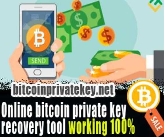 Simple Software That Will Help You Recover BTC