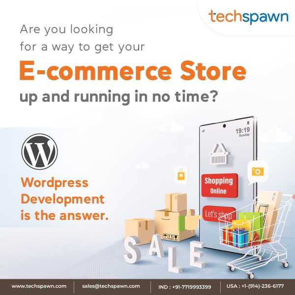 e-commerce, WordPress &amp; odoo development company